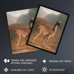 Artery8 Guanaco Llama in Mountain Landscape Agasse Framed Wall Art Print - Size: A4 - thumbnail 2