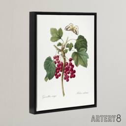 "Artery8 Redcurrant Berries & Butterfly Redoute Framed Canvas Wall Art in White - Size: W12"" x H16""" - thumbnail 2