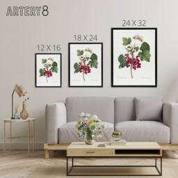 "Artery8 Redcurrant Berries & Butterfly Redoute Framed Canvas Wall Art in White - Size: W12"" x H16""" - thumbnail 4