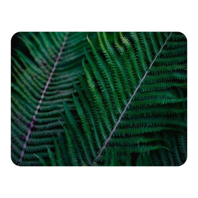 Benjamin Tate Design green leaves, abstract flora texture Designer Blanket in Natural - Size: 120 cm x 150 cm - image 1