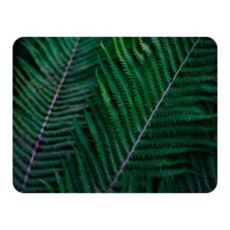 Benjamin Tate Design green leaves, abstract flora texture Designer Blanket in Natural - Size: 120 cm x 150 cm - thumbnail 1