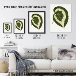 "Artery8 AF Lydon Benjamin Fawcett Begonia Red Leaf Wall Art Print in White - Size: W12"" x H16""" - thumbnail 3