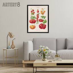 "Artery8 Tomatoes or Love Apples Ernst Benary Framed Canvas Wall Art Print in White - Size: W12"" x H16""" - thumbnail 3