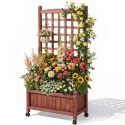 Kelvenix Wood Planter with Trellis in Brown - Size: 100g