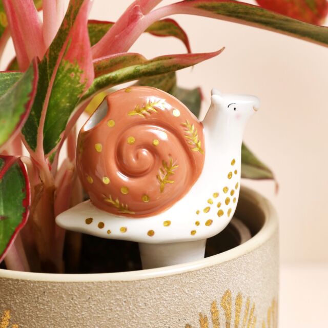 Lisa Angel Women's Snail Plant Watering Spike in Brown - image 1