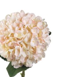 Hill Interiors Artificial Autumn Hydrangea in White - thumbnail 2
