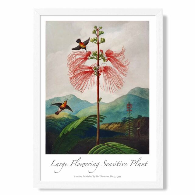 ARTZE Vintage Floral Exhibition - Flowering Plant Framed Print SIZE: A2 with White Frame in Red - Size: A4 - image 1