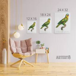 "Artery8 The Turquoise Fronted Amazon Parrot Levaillant Canvas Wall Art Print in White - Size: W12"" x H16""" - thumbnail 4