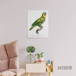 "Artery8 The Turquoise Fronted Amazon Parrot Levaillant Canvas Wall Art Print in White - Size: W12"" x H16""" - thumbnail 3