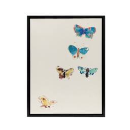 "Artery8 Five Butterflies Watercolour Redon Black Framed Canvas Wall Art in White - Size: W12"" x H16""" - thumbnail 1