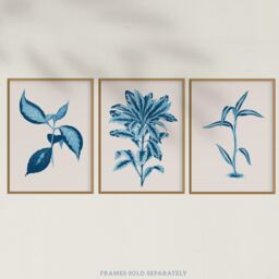 Artery8 Wall Art Print Pack of 3 A4 Modern Audubon Style Blue on Beige Detailed Leafy Plant Botanical Living Room s Set - thumbnail 5