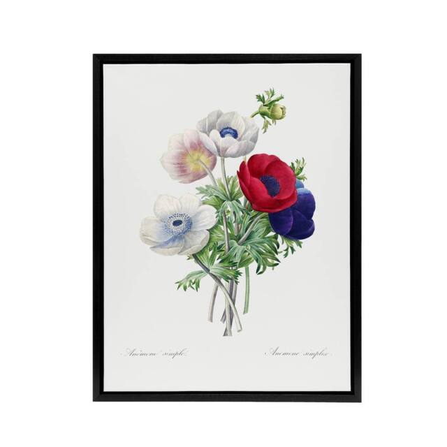 "Artery8 Anemone Flowers Botanical Redoute Vintage Black Framed Canvas Wall Art in White - Size: W12"" x H16""" - image 1