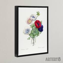 "Artery8 Anemone Flowers Botanical Redoute Vintage Black Framed Canvas Wall Art in White - Size: W12"" x H16""" - thumbnail 2