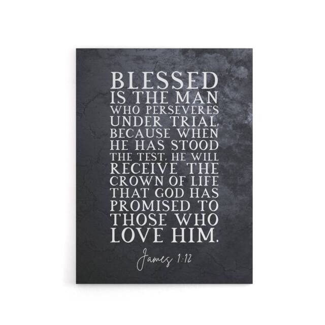 "Artery8 James 1 12 Persevere Stood The Test Bible Quote Canvas Wall Art Print in Grey - Size: W24"" x H32""" - image 1