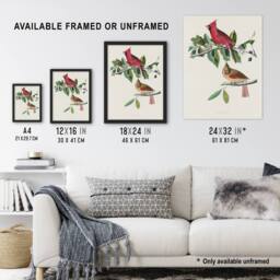 "Artery8 Cardinal Grosbeak Bird Audubon Nature Wall Art Print Poster in White - Size: W12"" x H16""" - thumbnail 3