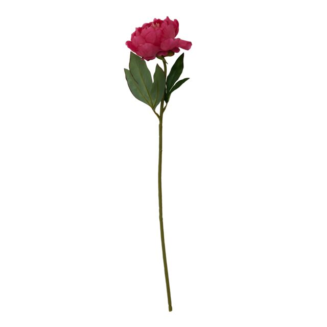 Premier Housewares Fiori Artificial flowers Peony Stem Flower - 65cm in Pink - image 1