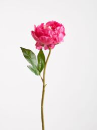 Premier Housewares Fiori Artificial flowers Peony Stem Flower - 65cm in Pink - thumbnail 2