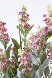 Homescapes Artificial Lavender Plant in Decorative Metallic Ceramic Pot, 66 cm in Pink - thumbnail 4