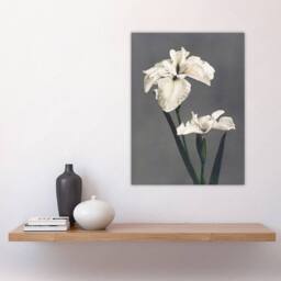 "Artery8 White Water Iris Flowers Vintage Japan Wall Art Print Kazumasa in Grey - Size: W12"" x H16""" - thumbnail 4