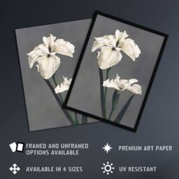 "Artery8 White Water Iris Flowers Vintage Japan Wall Art Print Kazumasa in Grey - Size: W12"" x H16""" - thumbnail 2