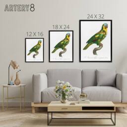 "Artery8 The Turquoise Fronted Amazon Parrot Levaillant Framed Canvas Wall Art in White - Size: W12"" x H16""" - thumbnail 4