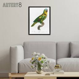 "Artery8 The Turquoise Fronted Amazon Parrot Levaillant Framed Canvas Wall Art in White - Size: W12"" x H16""" - thumbnail 3