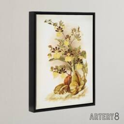 "Artery8 Frederick Sander Oncidium Tigrinum Orchid Flowers Framed Canvas Art - Size: W12"" x H16""" - thumbnail 2