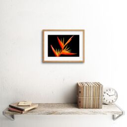 "Artery8 Wall Art Print Bird of Paradise Flower Framed in Beige - Size: W7"" x H9""" - thumbnail 2