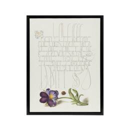 "Artery8 Ladybird & Wild Pansy Calligraphy Framed Canvas Wall Art Print in White - Size: W12"" x H16""" - thumbnail 1