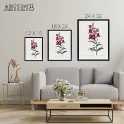 "Artery8 Antirrhinum Dragon Flowers Redoute Black Framed Canvas Wall Art in White - Size: W12"" x H16""" - thumbnail 4