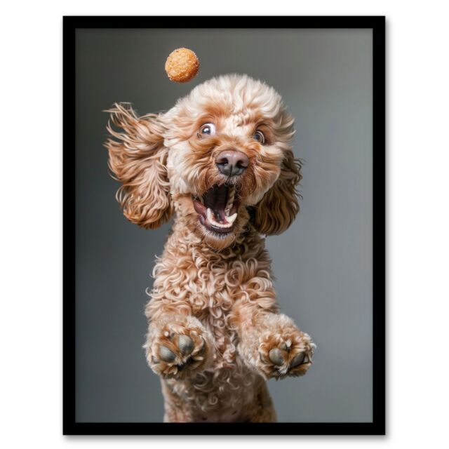 "Artery8 Wall Art Print Funny Cockapoo Dog Lover Treat Catch Photo Art Framed Poster in Black - Size: W12"" x H16""" - image 1