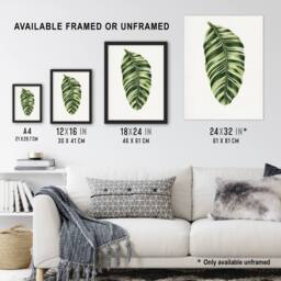 "Artery8 AF Lydon Benjamin Fawcett Musa Paradisiaca Vittata Wall Art Print in White - Size: W12"" x H16""" - thumbnail 3