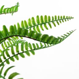 Leaf 40cm Artificial Fern with Ceramic Planter Stand in Green - thumbnail 3