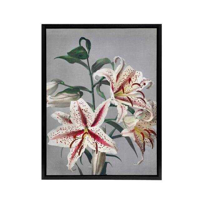 "Artery8 White Pink Spotted Lily Flowers Framed Canvas Wall Art Print Kazumasa - Size: W18"" x H24""" - image 1