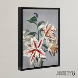 "Artery8 White Pink Spotted Lily Flowers Framed Canvas Wall Art Print Kazumasa - Size: W18"" x H24""" - thumbnail 2