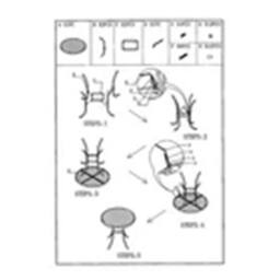 Nordara Outdoor Dining Tables in Brown - Size: 1kg - thumbnail 2