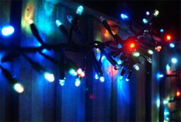 Xmas Haus Cluster Lights Black Rubber IP65 RGB 5M - thumbnail 5