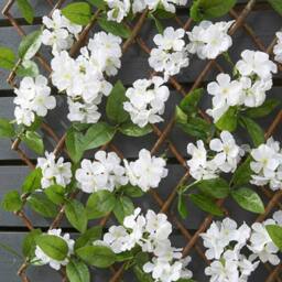 Garden Greatness Artificial White Hydrangea Willow Garden Trellis - Size: 1 Pack - thumbnail 2