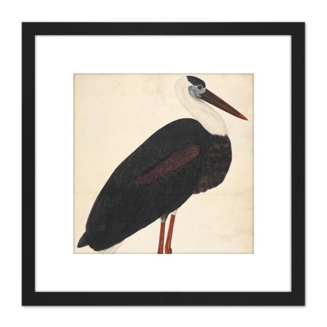 Artery8 Black Stork In A Landscape Indian Watercolour Bird Painting 8X8 Inch Square Wooden Framed Wall Art Print Picture with Mount - image 1