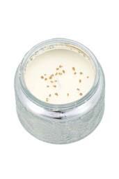 Garden Sanctuary Rotating Carousel Scented Candle in Silver - thumbnail 4