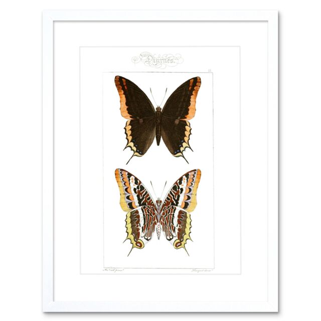 "Artery8 Wall Art Print Butterflies Black & Brown Pattern Art Framed 9x7 inch in White - Size: W7"" x H9""" - image 1
