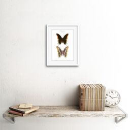 "Artery8 Wall Art Print Butterflies Black & Brown Pattern Art Framed 9x7 inch in White - Size: W7"" x H9""" - thumbnail 2