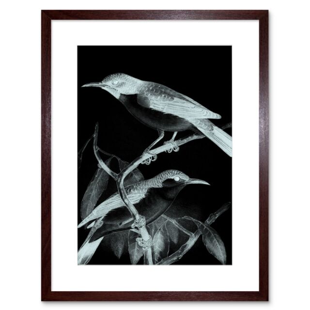 "Artery8 Wall Art Print Birds Night Art Framed 9x7 inch in Brown - Size: W7"" x H9""" - image 1