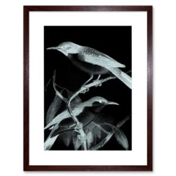"Artery8 Wall Art Print Birds Night Art Framed 9x7 inch in Brown - Size: W7"" x H9""" - thumbnail 1