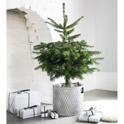 Ivyline Indoor Zinc Planter H23Cm W23Cm -Dimensions: H23cm W23cm in Silver - thumbnail 3