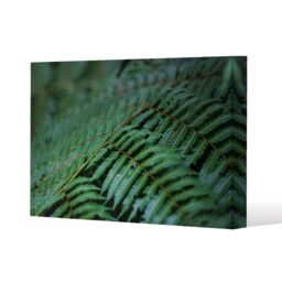 Benjamin Tate Design green leaves pattern & texture at Indonesia (Canvas Print) / 127 x 101 x 4cm in Natural - Size: 127 x 101 x 4 cm - thumbnail 1