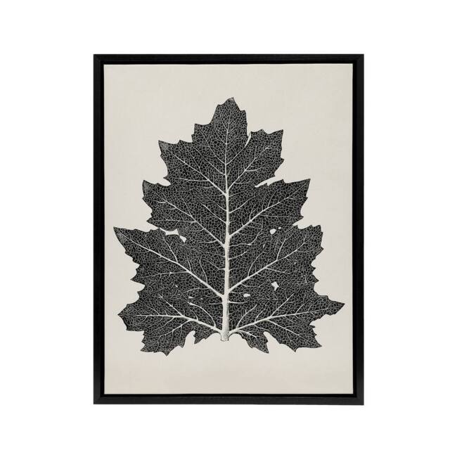"Artery8 Black & White Leaf Drawing Owen Jones Vintage Framed Canvas Wall Art in Beige - Size: W12"" x H16""" - image 1