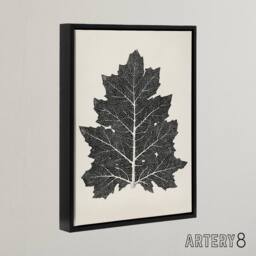 "Artery8 Black & White Leaf Drawing Owen Jones Vintage Framed Canvas Wall Art in Beige - Size: W12"" x H16""" - thumbnail 2