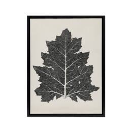"Artery8 Black & White Leaf Drawing Owen Jones Vintage Framed Canvas Wall Art in Beige - Size: W12"" x H16""" - thumbnail 1