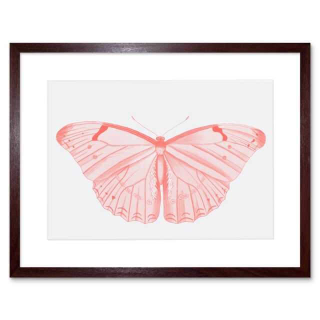 "Artery8 Wall Art Print Living Coral Butterfly Art Black Framed 9x7 inch in Brown - Size: W7"" x H9""" - image 1